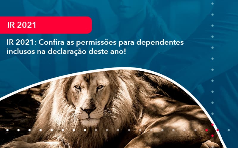 IR 2021: Confira As Permissões Para Dependentes Inclusos Na Declaração Deste Ano!