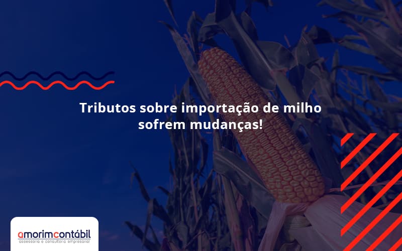Tributos Sobre Importação De Milho Sofrem Mudanças!