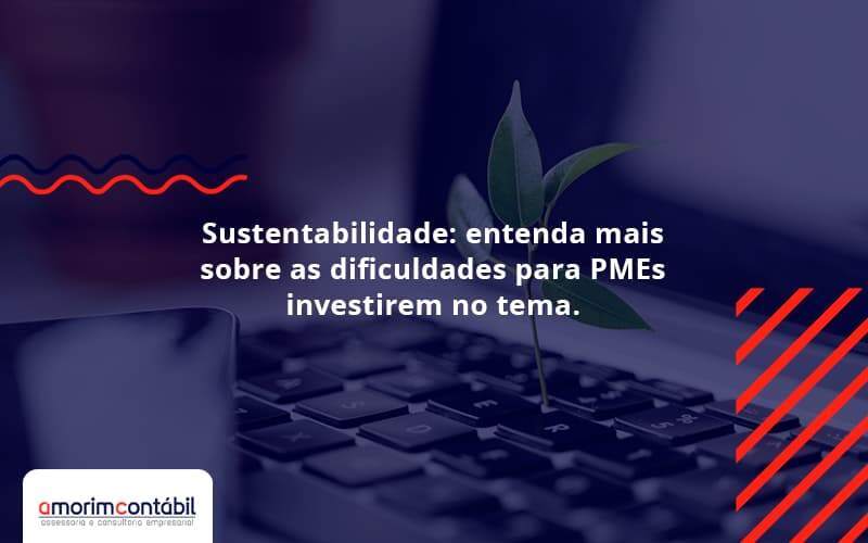 Sustentabilidade Amorim Contabil - Amorim Contabil | Contabilidade em Goiás