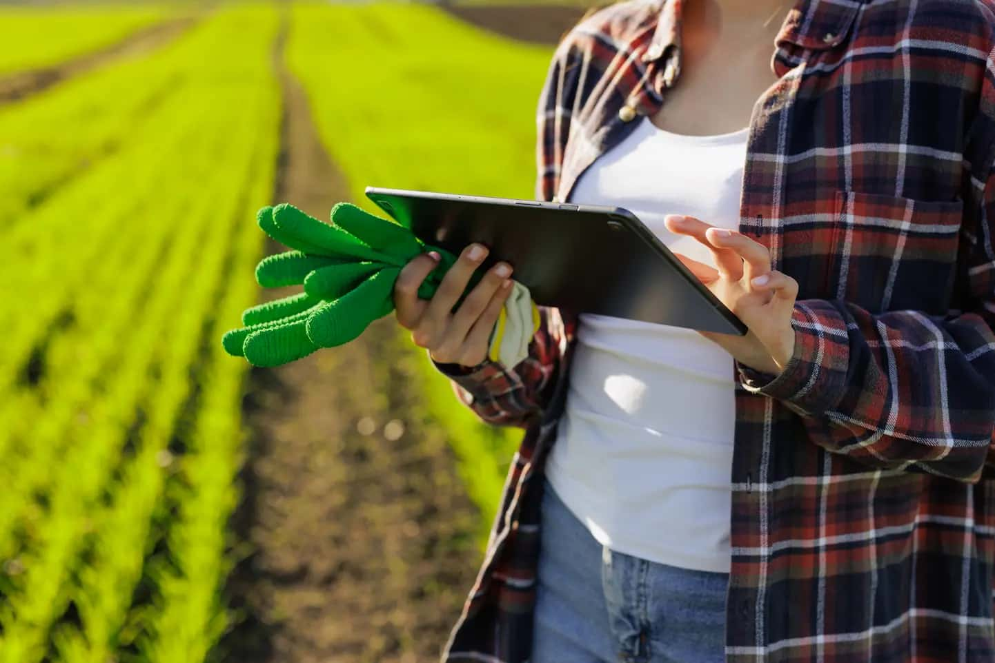 Descubra Estratégias Inovadoras Para Reduzir Custos Na Produção Agrícola - Amorim Contábil | Contabilidade em Goiás