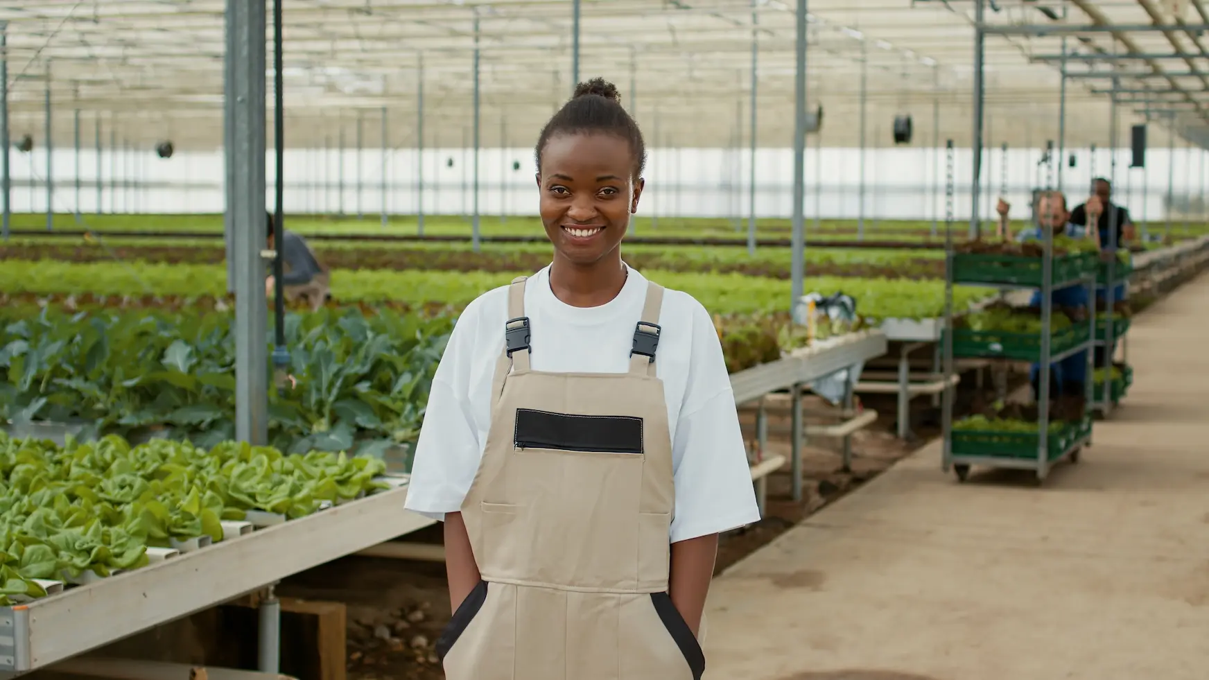 Descubra Estratégias Inovadoras Para Reduzir Custos Na Produção Agrícola - Amorim Contábil | Contabilidade em Goiás