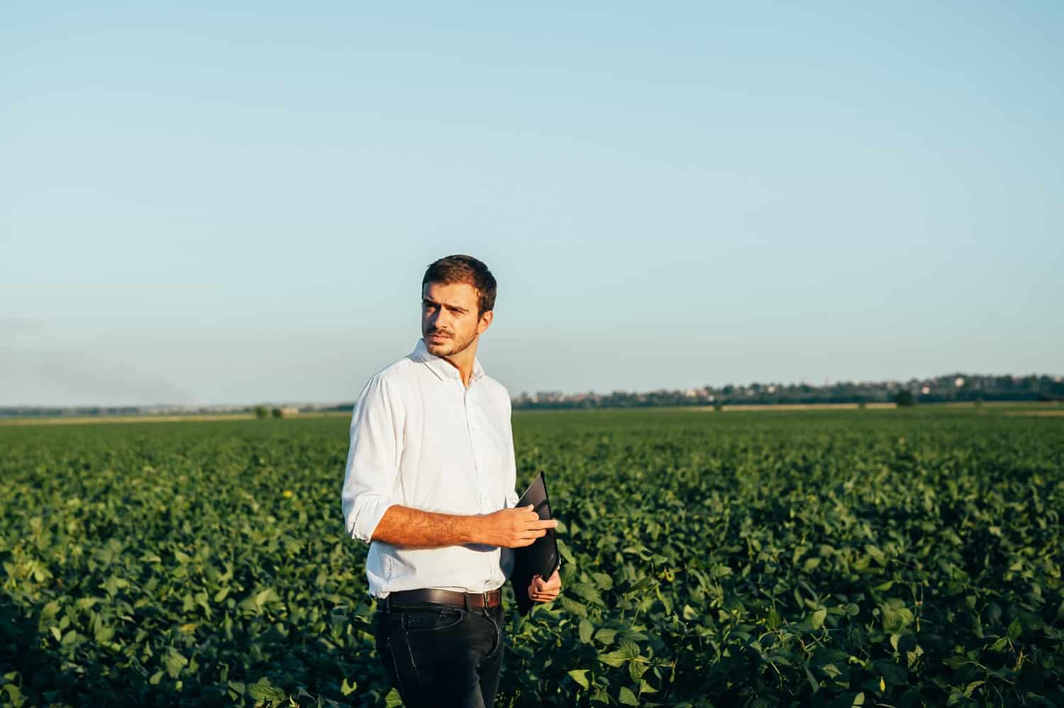 Maximize Seus Lucros No Agronegócio Com Gestão Eficaz De Impostos (2) - Amorim Contábil | Contabilidade em Goiás