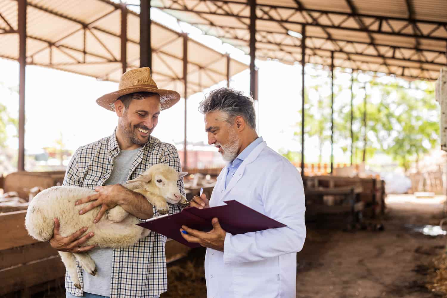 Descubra Como Os Relatórios Contábeis Podem Transformar A Gestão Financeira Das Farmácias No Agronegócio - Amorim Contábil | Contabilidade em Goiás