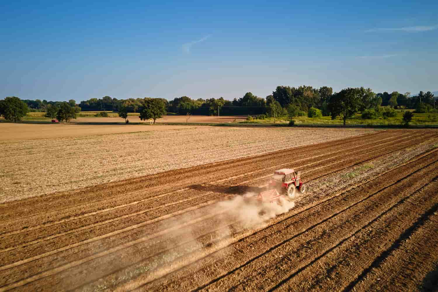 Descubra O Caminho Prático E Direto Para Abrir Sua Empresa No Agronegócio - Amorim Contábil | Contabilidade em Goiás