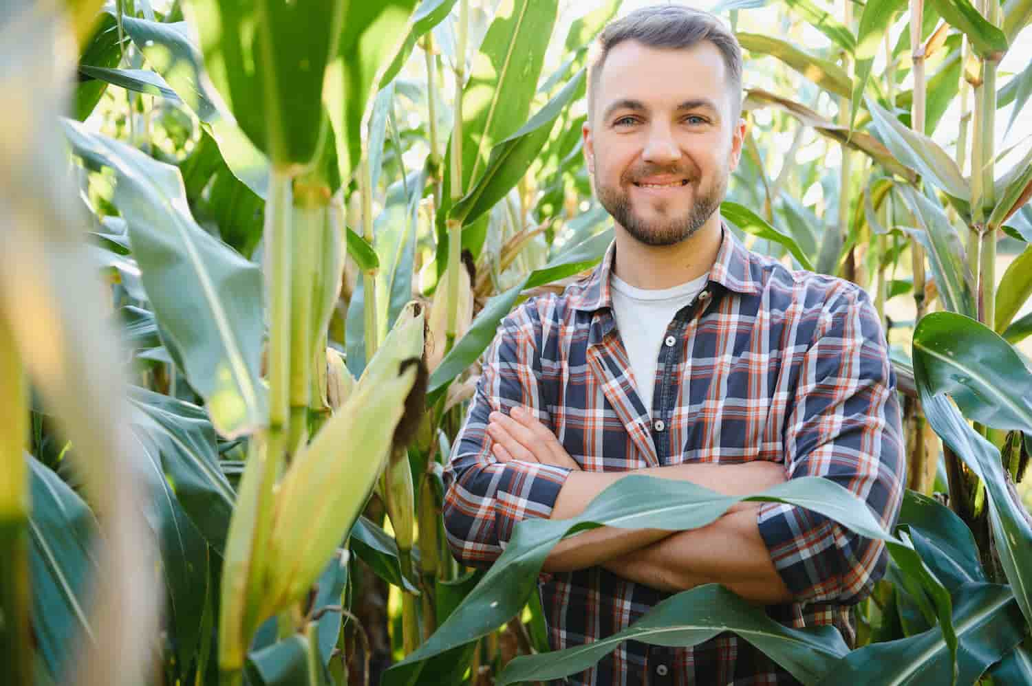 Emitir Relatório Contábil Farmácias No Agronegócio - Amorim Contábil | Contabilidade em Goiás