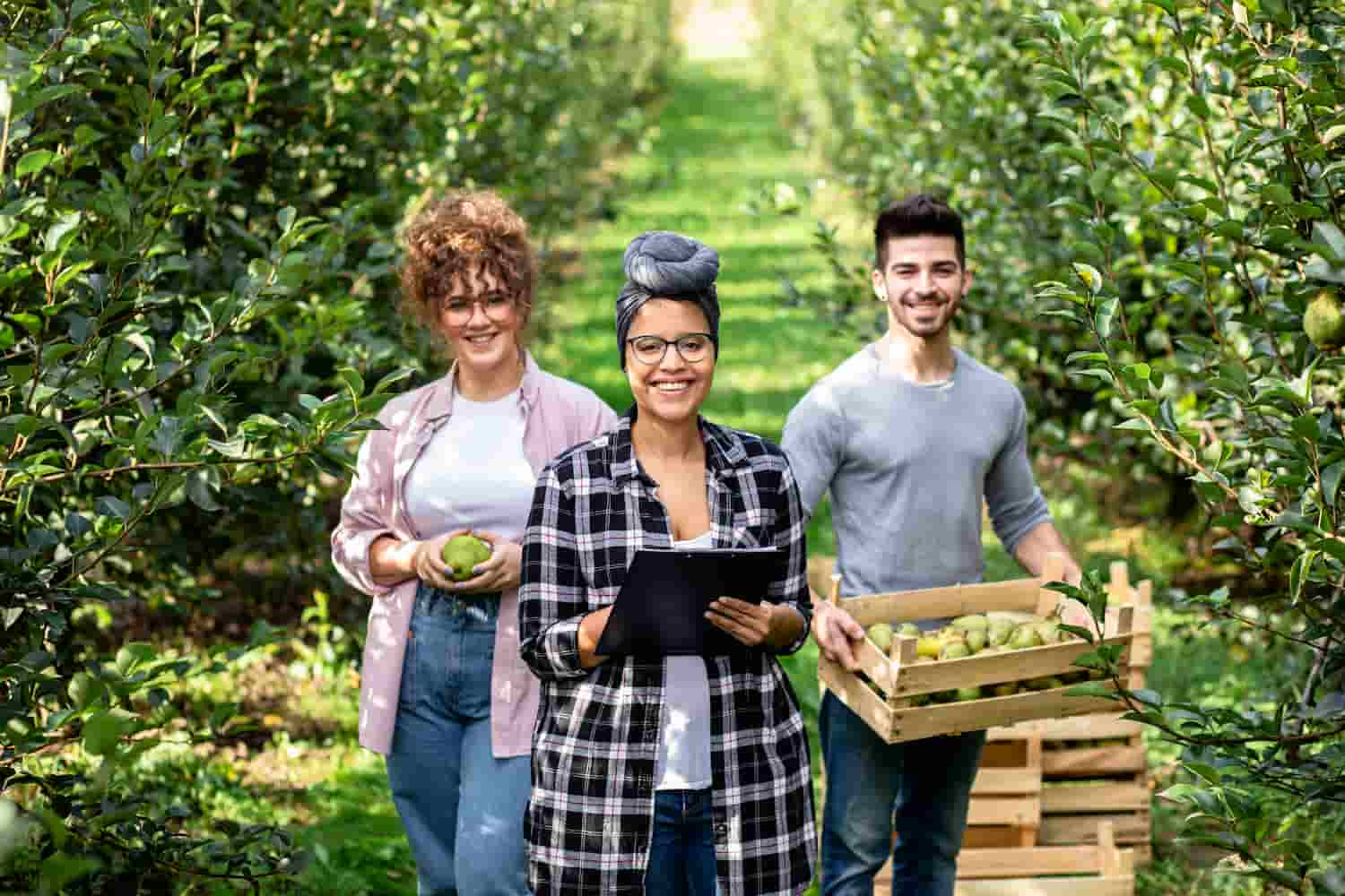 Licenças Para Agronegócio - Amorim Contábil | Contabilidade em Goiás