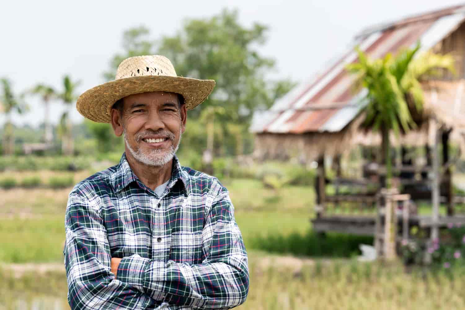 Rentabilidade Da Sua Propriedade Rural Com A Amorim Contábil - Amorim Contábil | Contabilidade em Goiás