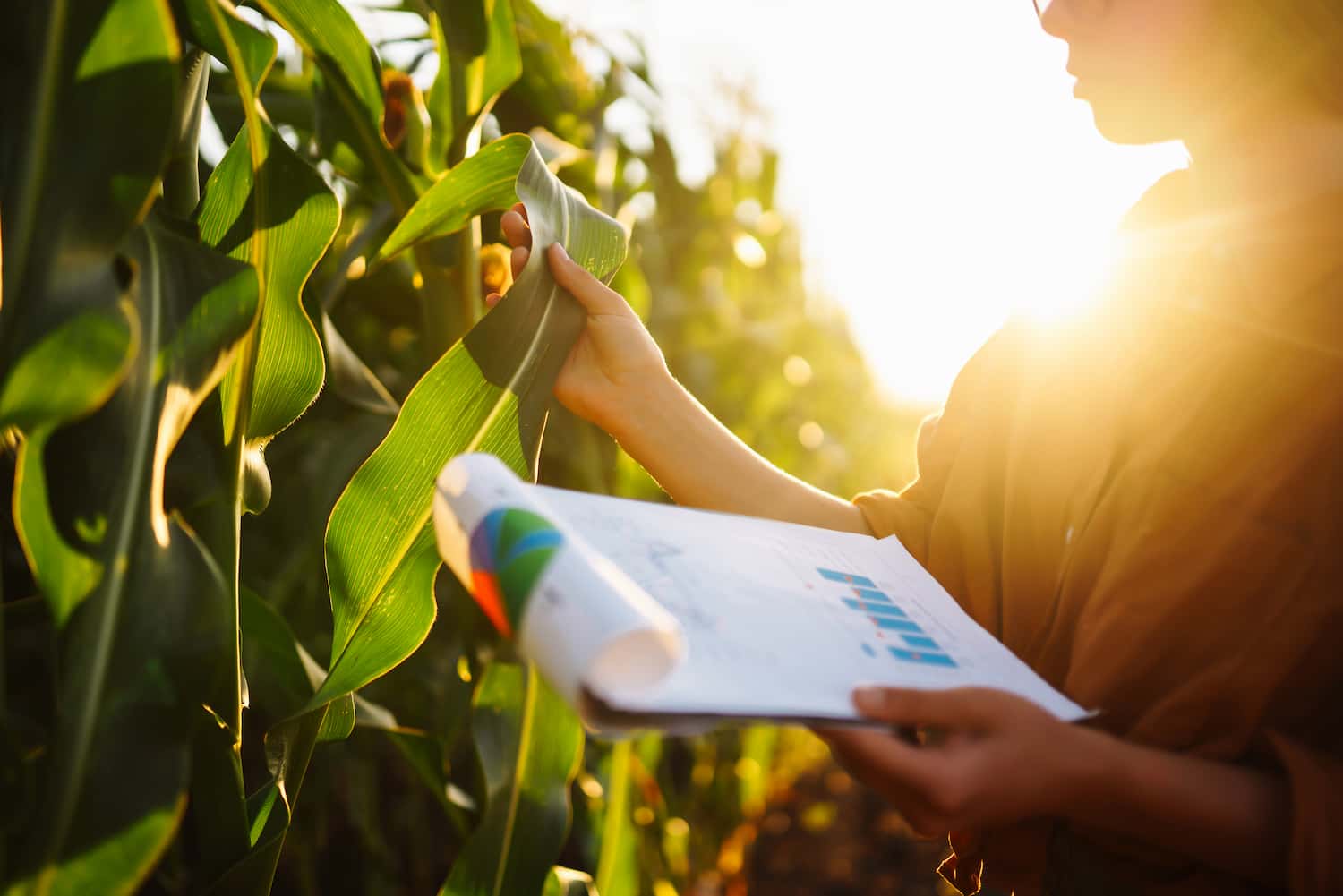 Benefícios Agronegócio - Amorim Contábil | Contabilidade em Goiás