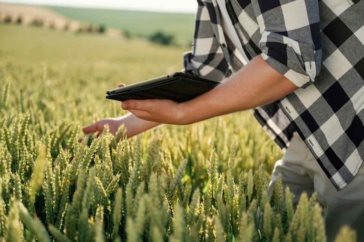 Regime Tributário No Agro - Amorim Contábil | Contabilidade em Goiás
