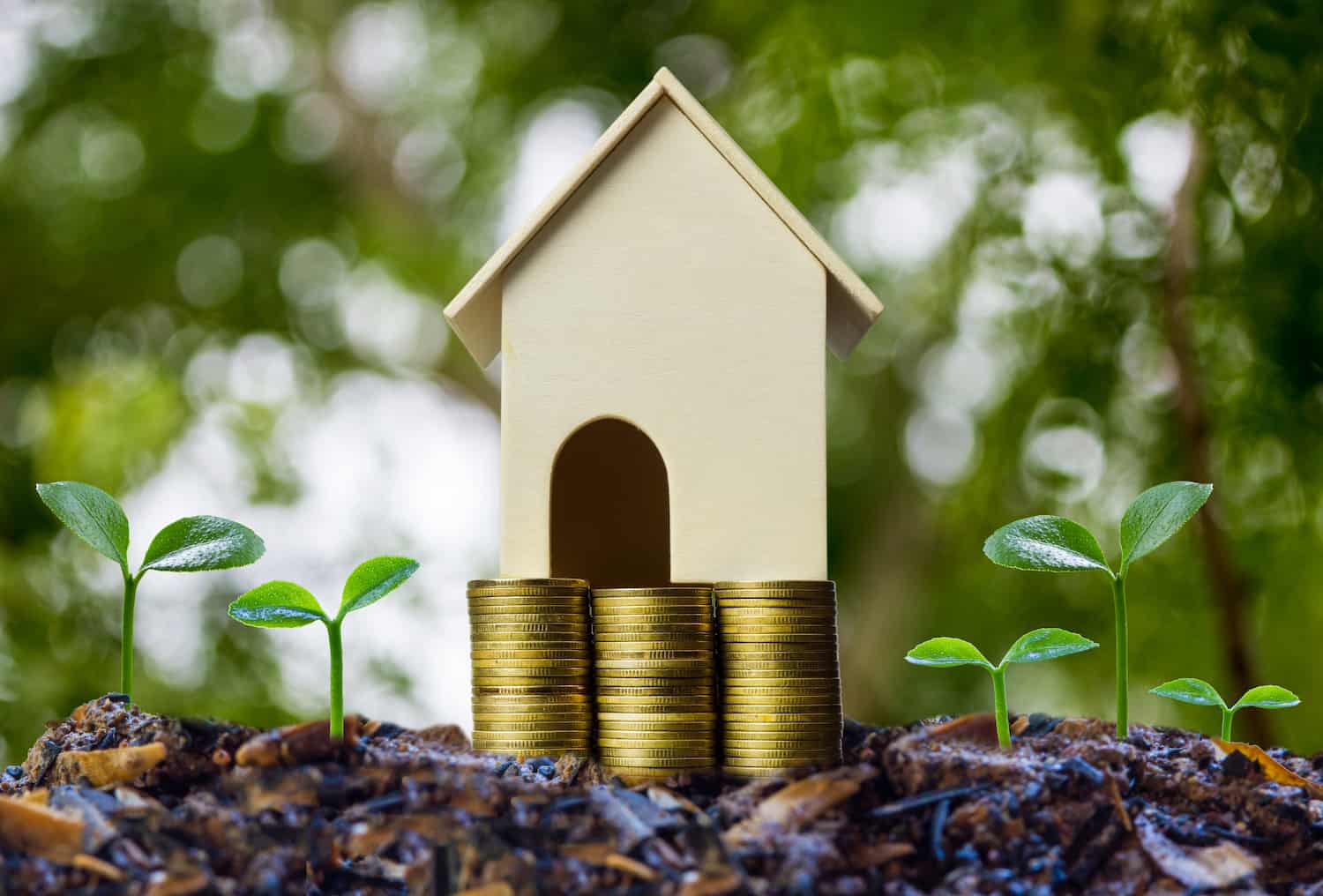 Regularização De Imóvel Rural - Amorim Contábil | Contabilidade em Goiás